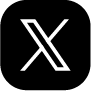 公式X